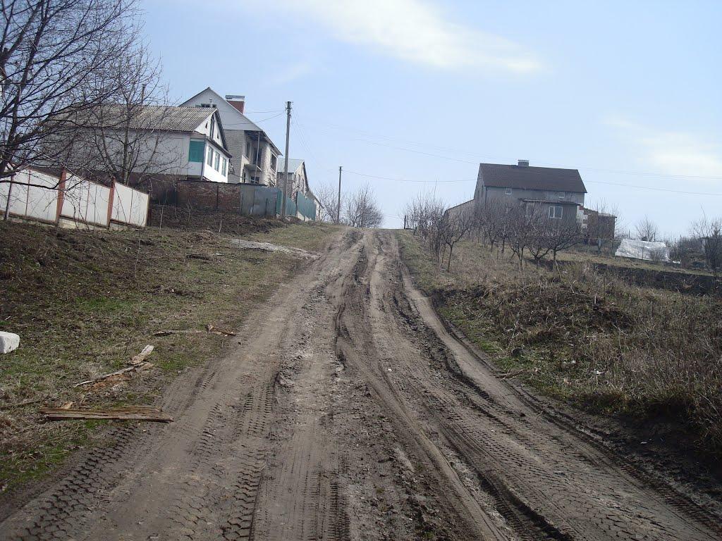 Хмельницький з panoramio.com (ч.13) - Хмельницкий