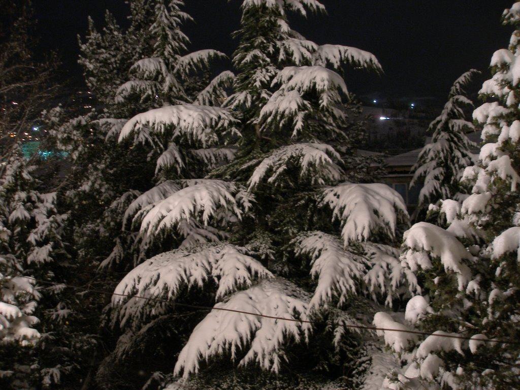 Ялта з panoramio.com (ч.5) - Ялта