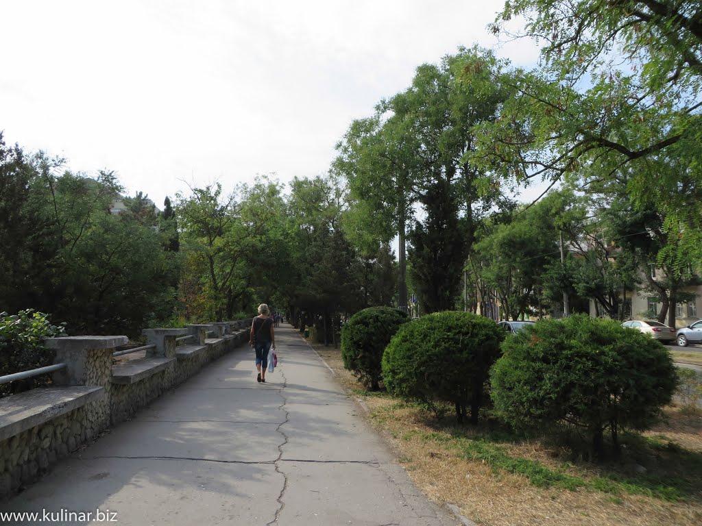 Євпаторія з panoramio.com (ч.6) - Евпатория