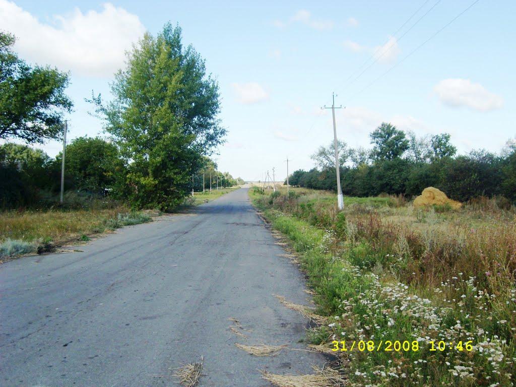 Ленінка з panoramio.com - Ленинка