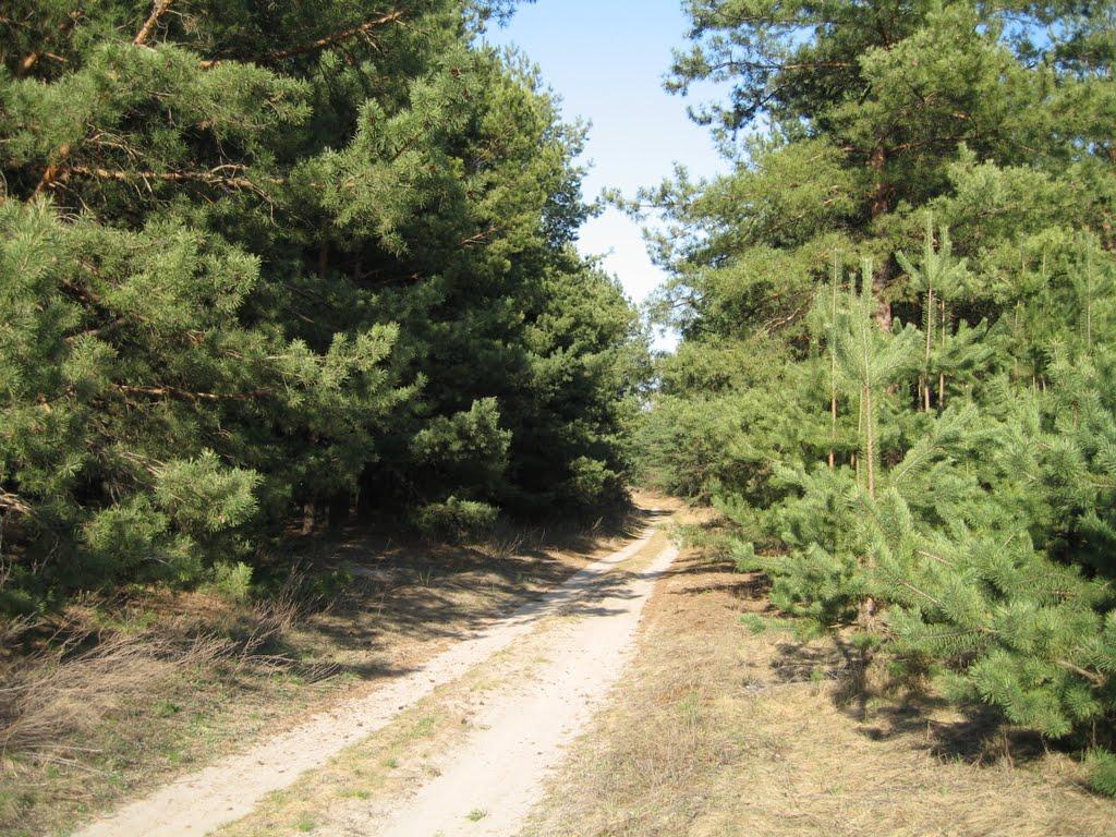 Плавні з panoramio.com - Плавни