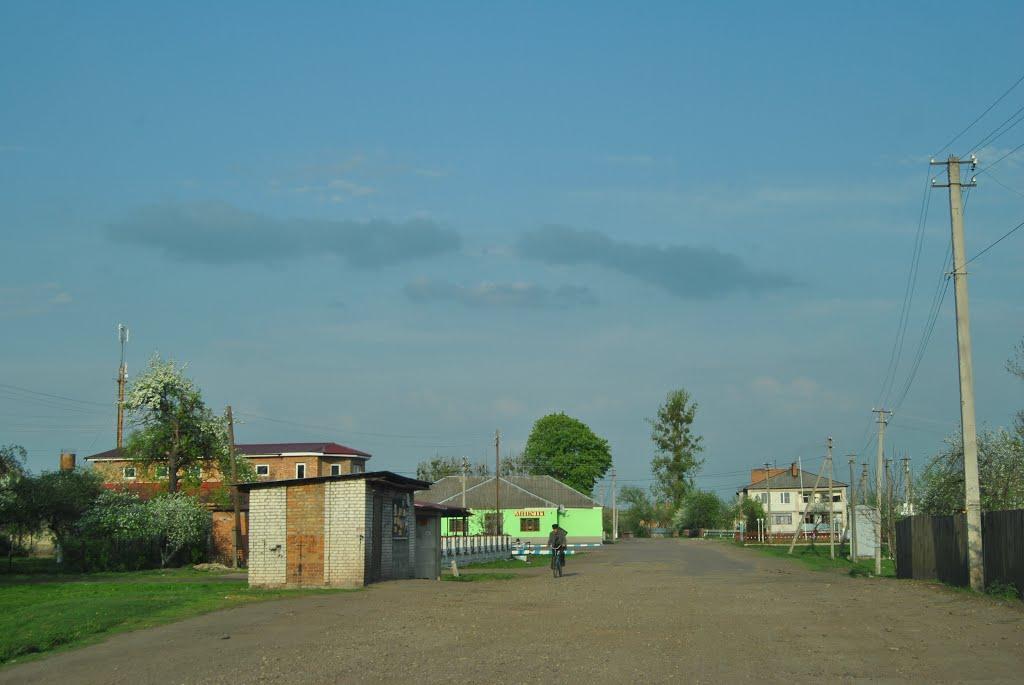 Волсвин з panoramio.com - Volsvyn