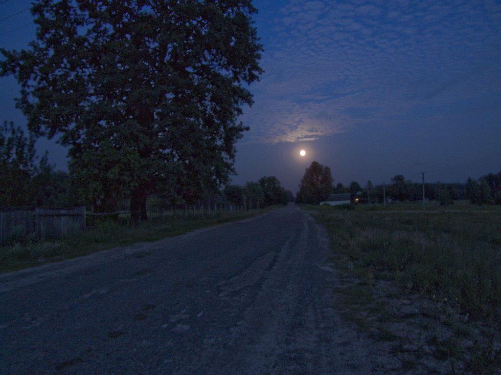 Гута-Забілоцька з panoramio.com - Гута-Забілоцька