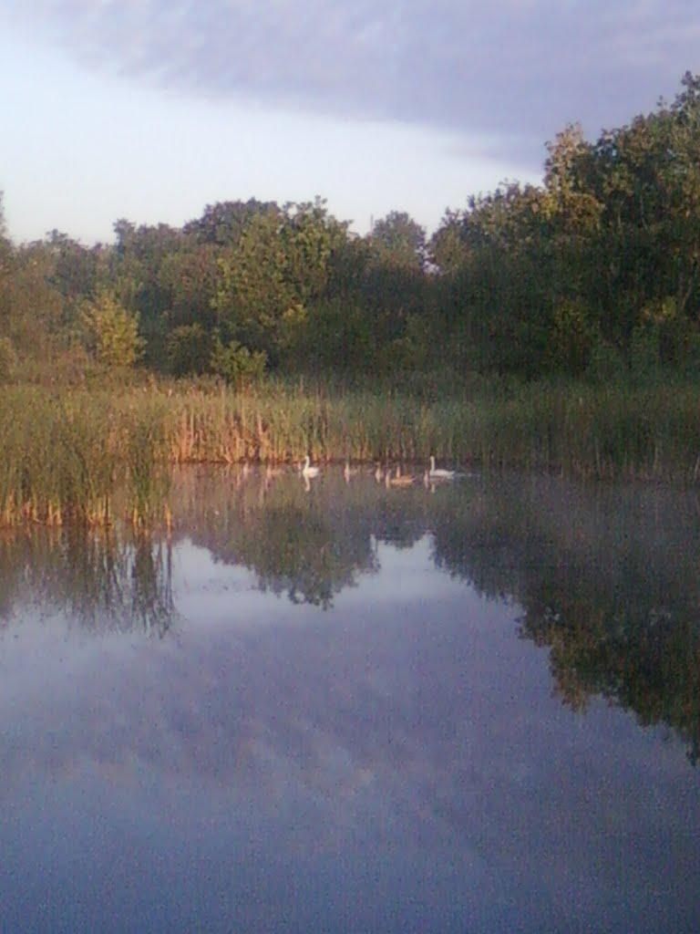 Воронівка з panoramio.com - Voronivka