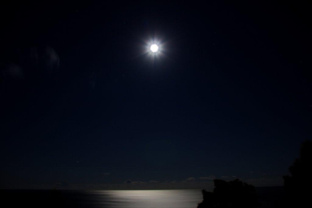 Алупка з panoramio.com (ч.3) - Alupka