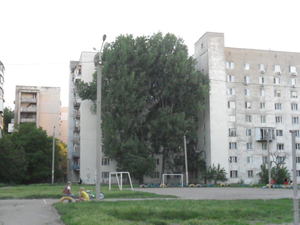 Корсунці з panoramio.com - Корсунцы