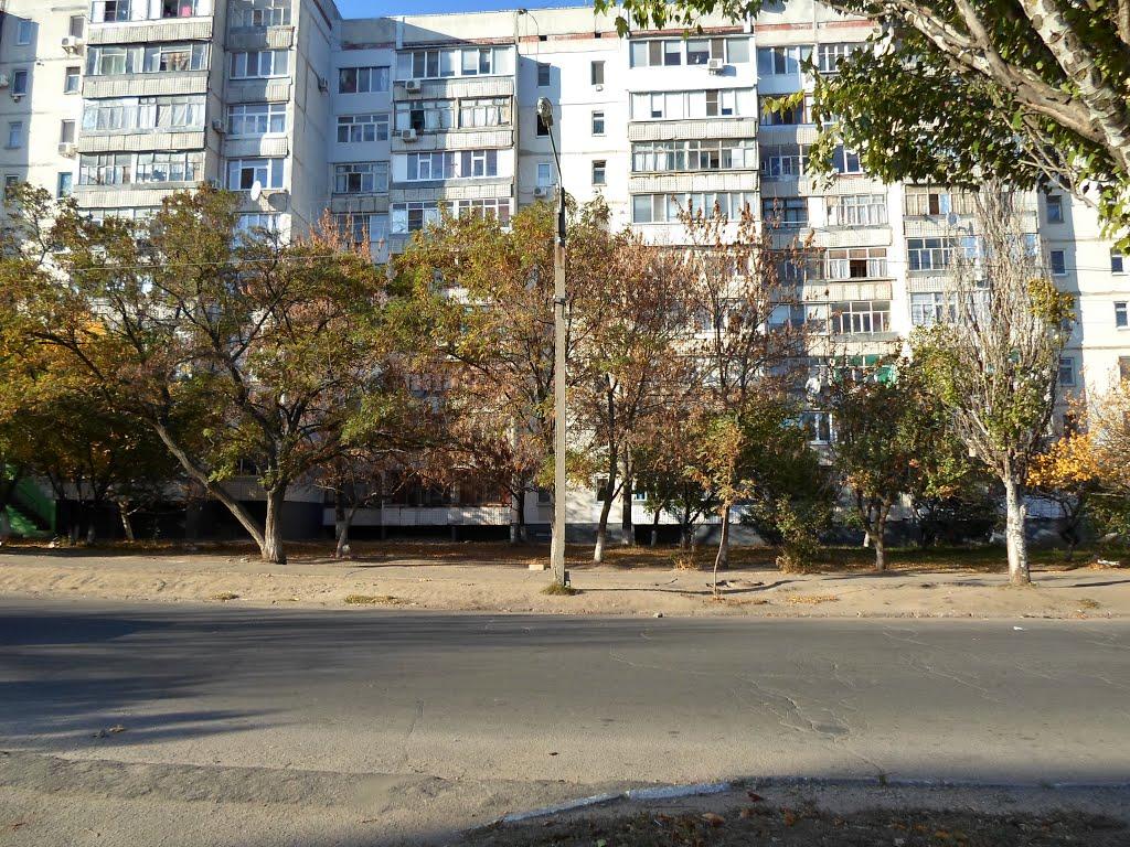 Бердянськ з panoramio.com (ч.3) - Бердянськ