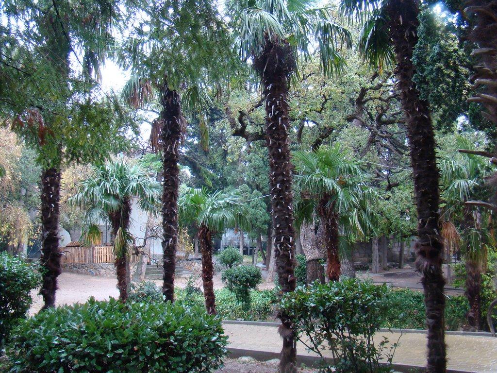 Сімеїз з panoramio.com (ч.2) - Сімеїз