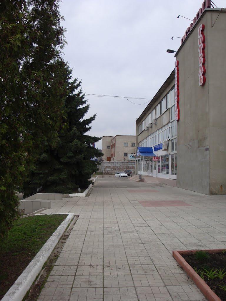 Куп'янськ з panoramio.com (ч.2) - Kupyansk