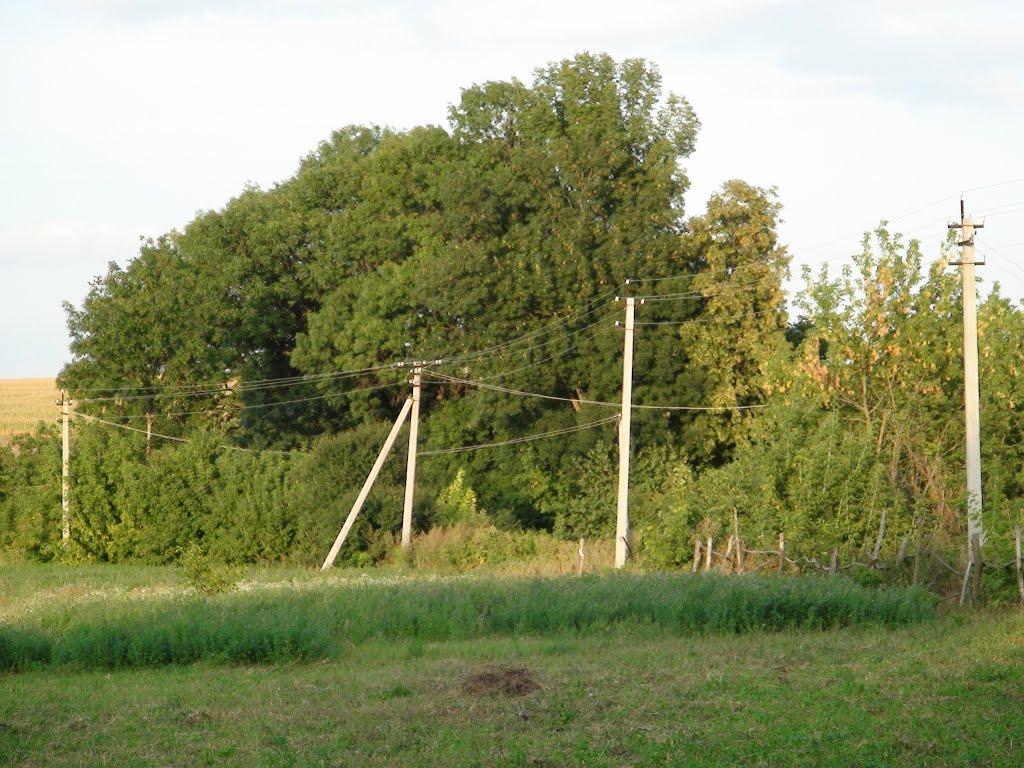 Люлинці з panoramio.com - Люлинцы