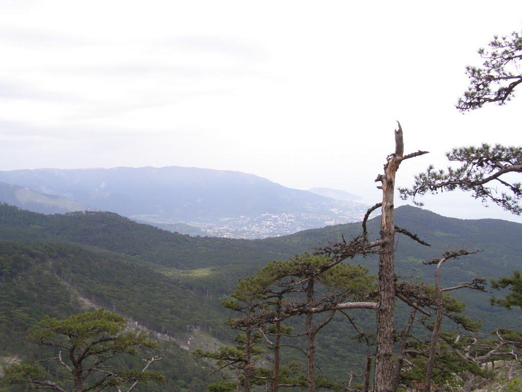 Охотниче з panoramio.com (ч.3) - Охотниче