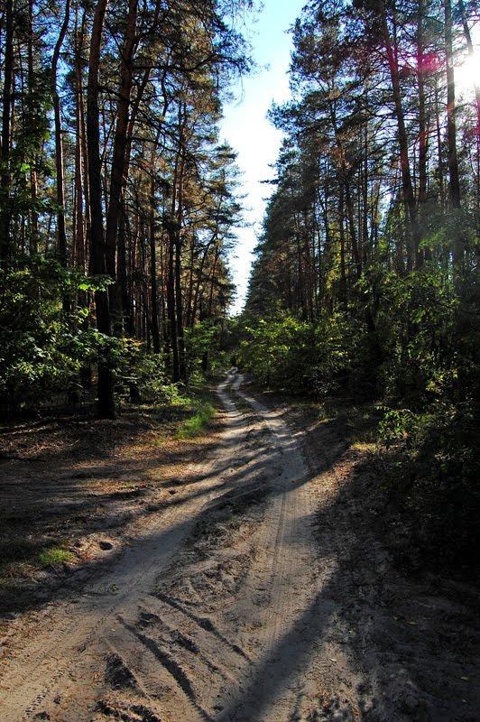 Мохнач з panoramio.com - Мохнач