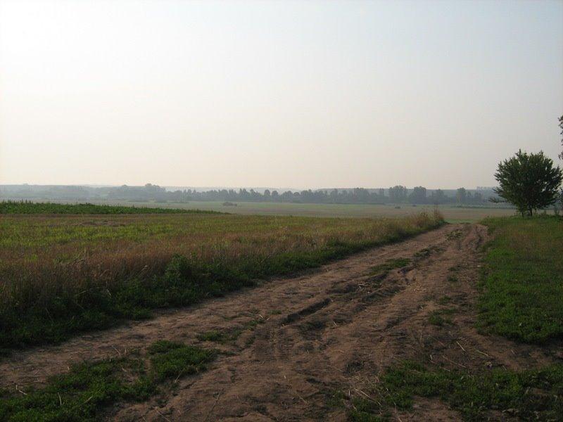 Вільгір з panoramio.com - Вільгір