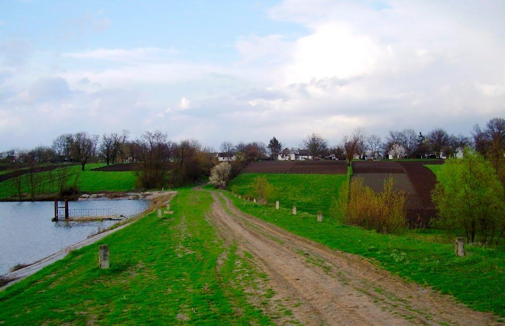 Дзензелівка з panoramio.com - Дзензелівка