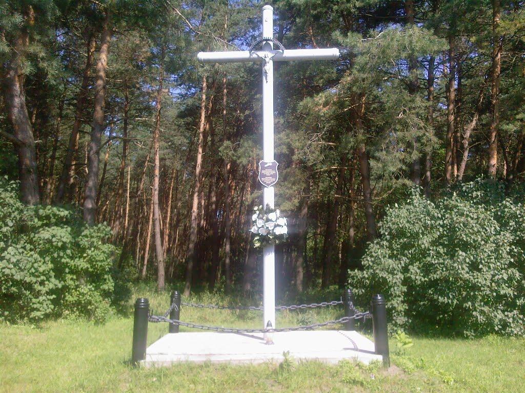 Ревушки з panoramio.com - Ревушки