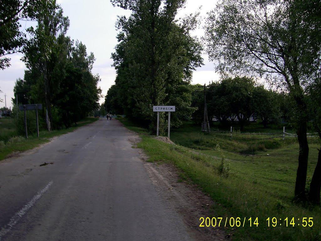 Стрибіж з panoramio.com - Стрибіж