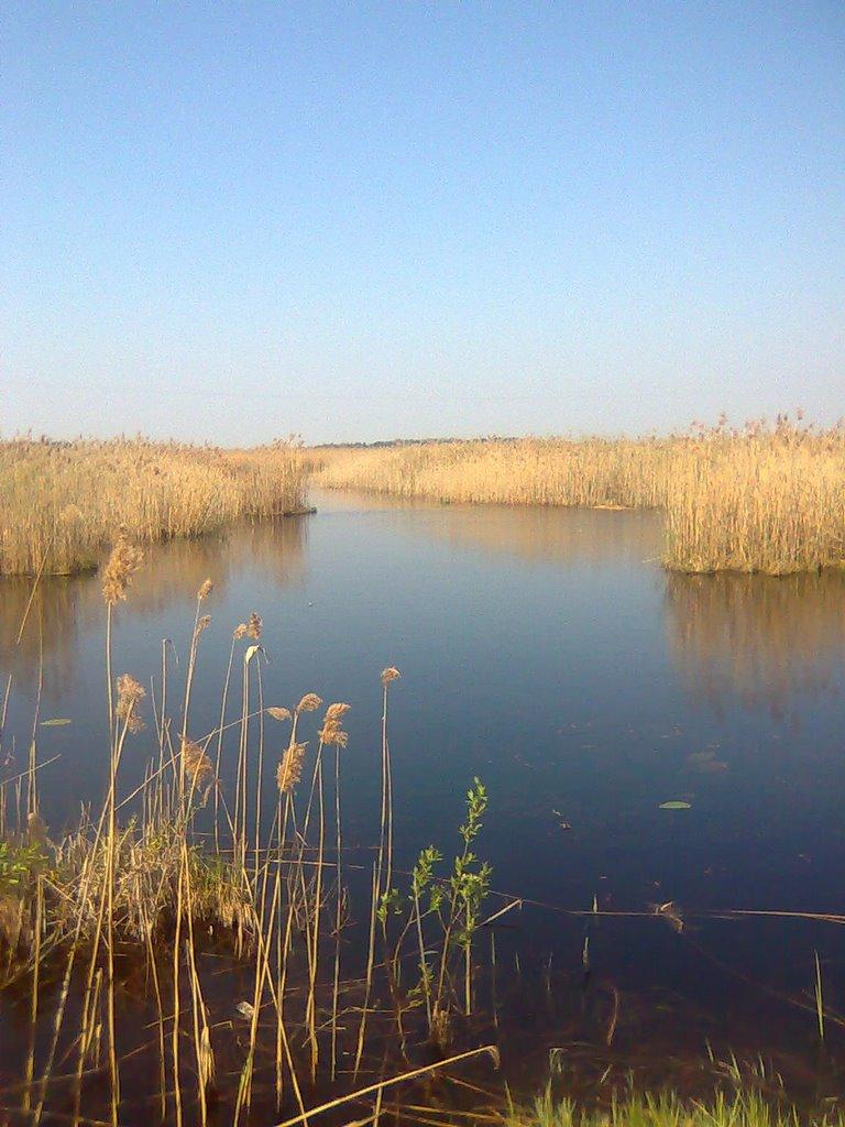 Шлапань з panoramio.com - Шлапань