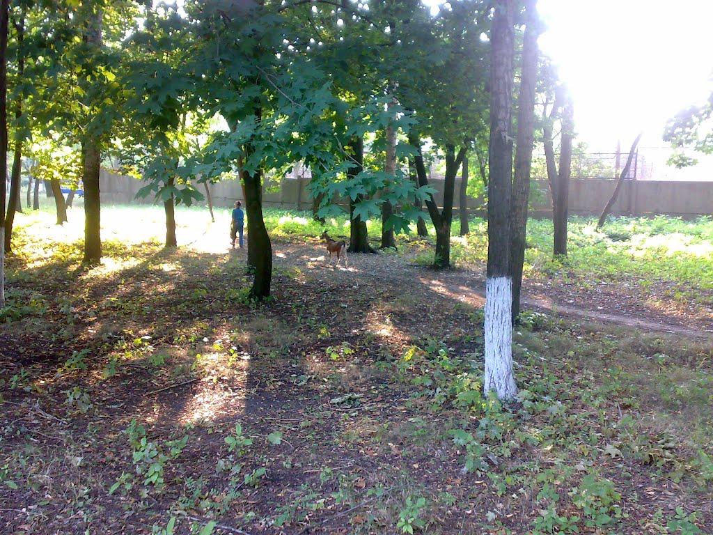 Свердловськ з panoramio.com - Свердловськ