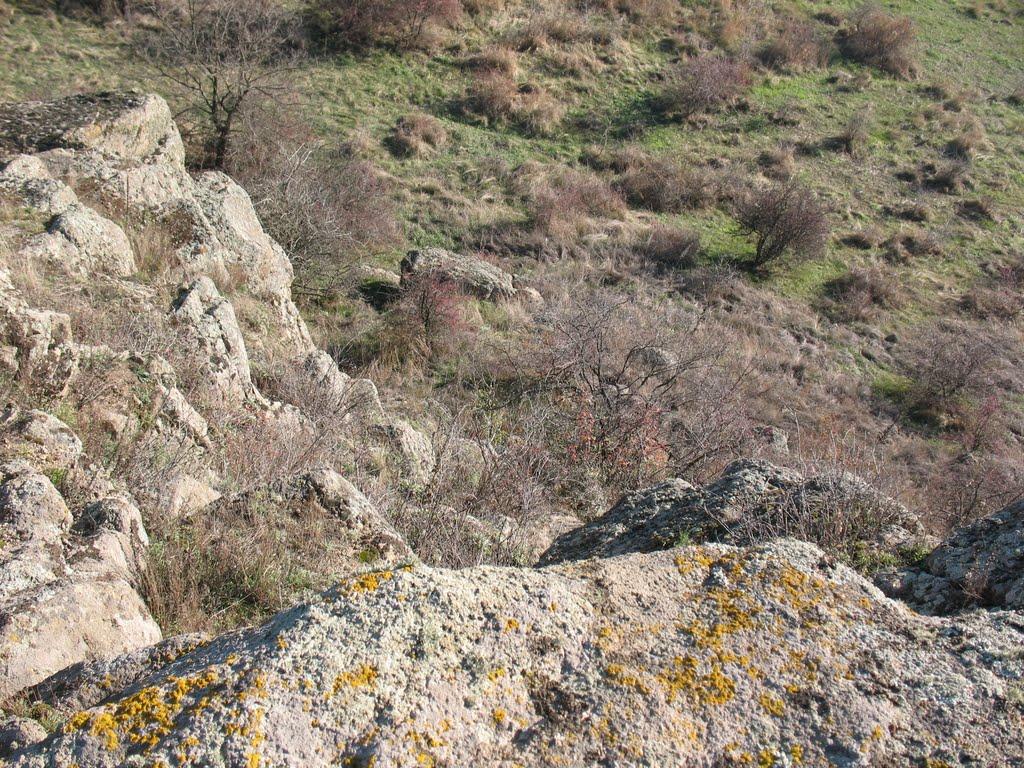 Розанівка з panoramio.com - Rozanivka