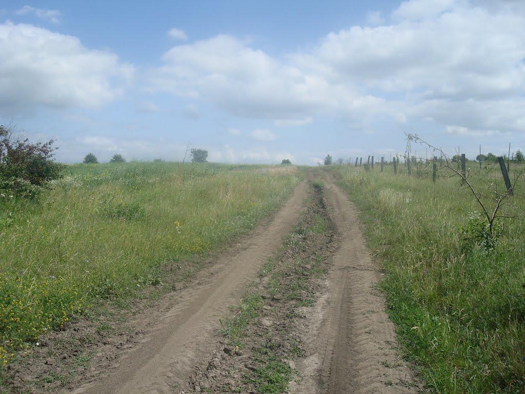 Хмельницький з panoramio.com (ч.13) - Хмельницкий