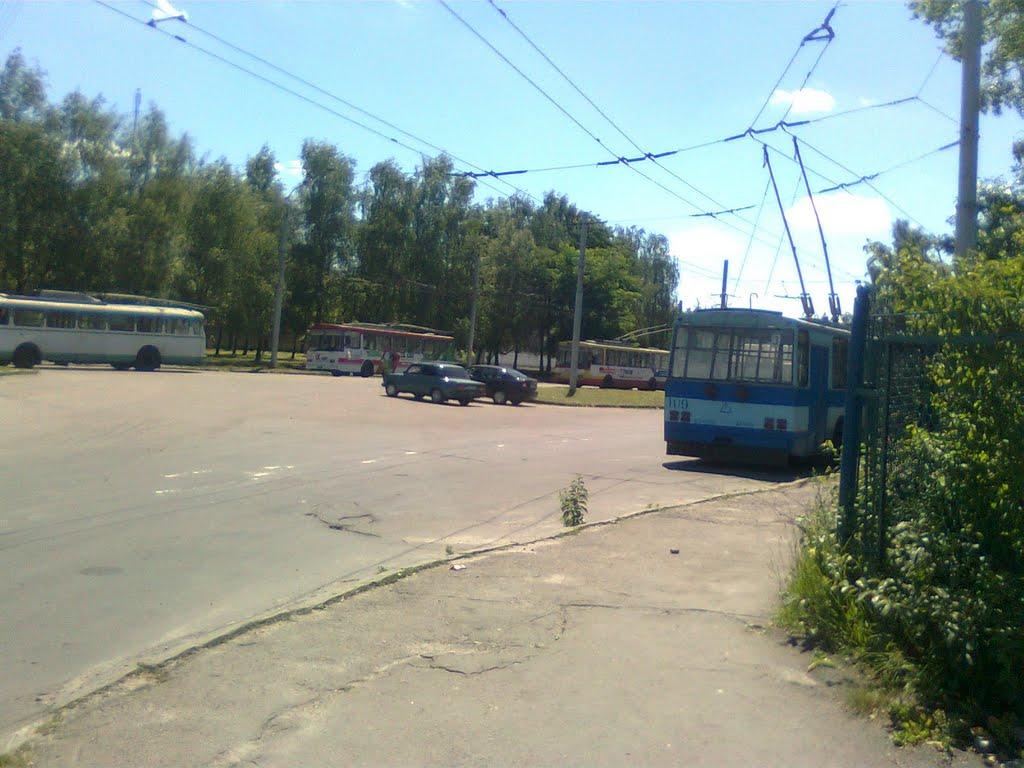 Рівне з panoramio.com (ч.5) - Rivne