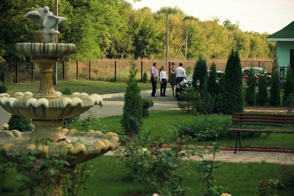 Нова Осота з panoramio.com - Новая Осота