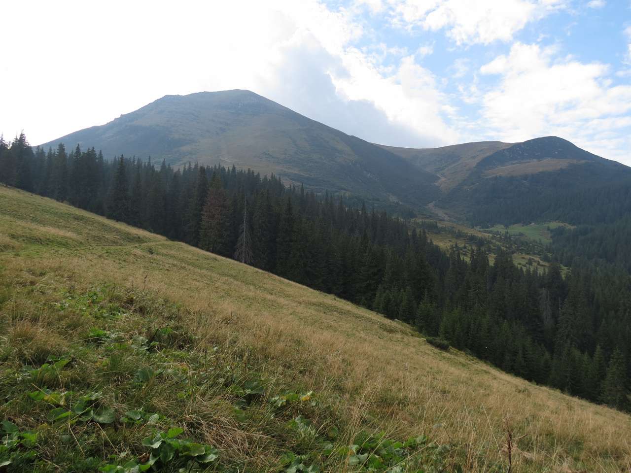 ТУРПОХІД НА ПЕТРОС - Тростянець