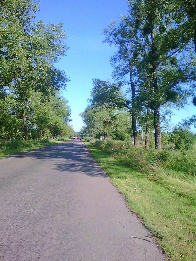 краєвид - Стрілків