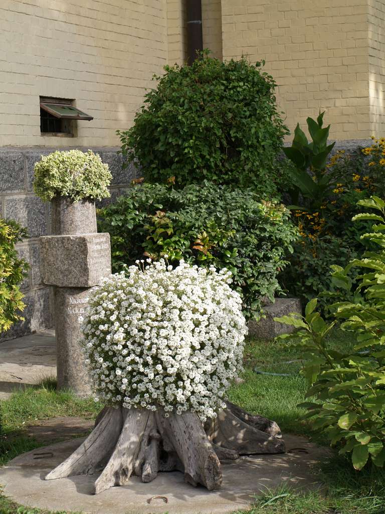 ВОЗДВИЖЕНьСЬКИЙ КОСТЕЛ - Фастів