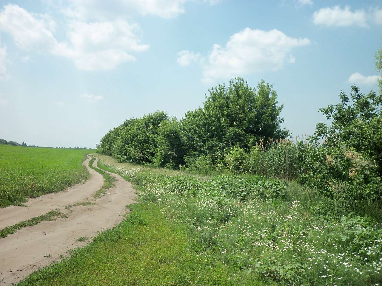 с.Дем'янівка - Дем'янівка