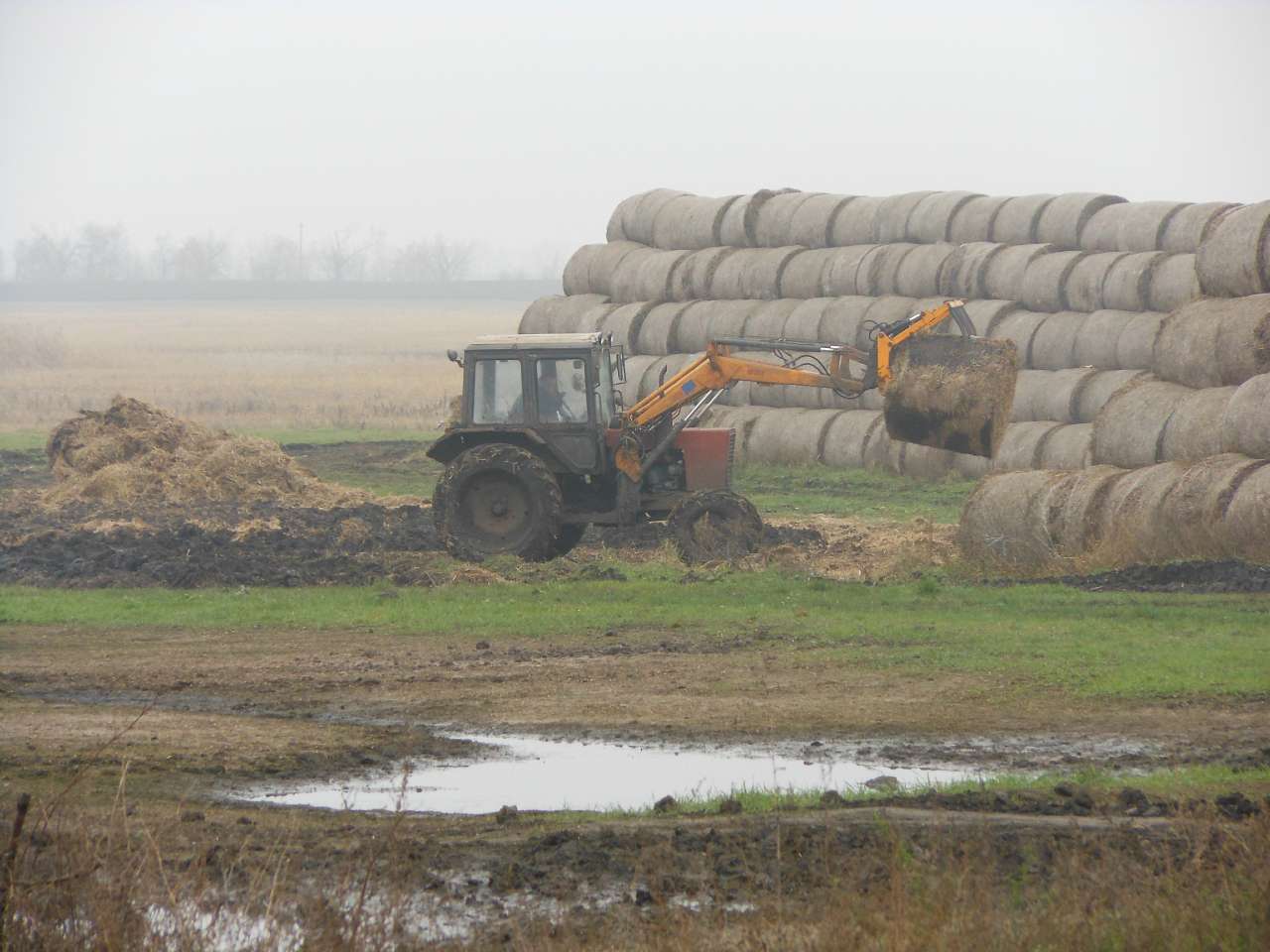 с.Дем'янівка - Дем'янівка