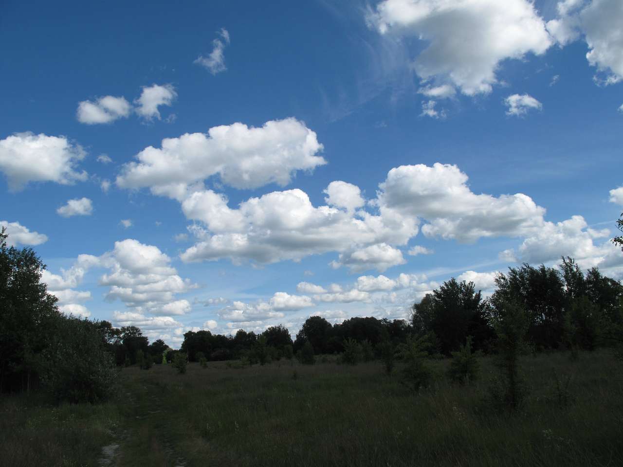 Титівка (13.06.2016) - Титівка