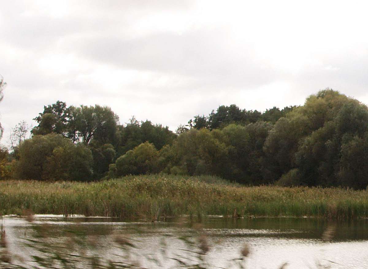 Малі Єрчики проїздом - Малі Єрчики