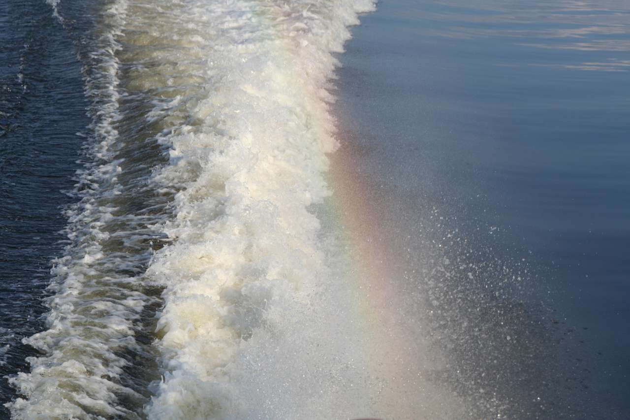 ПОДОРОЖ ДНІПРОМ ДО СТРАХОЛІССЯ - Страхолісся