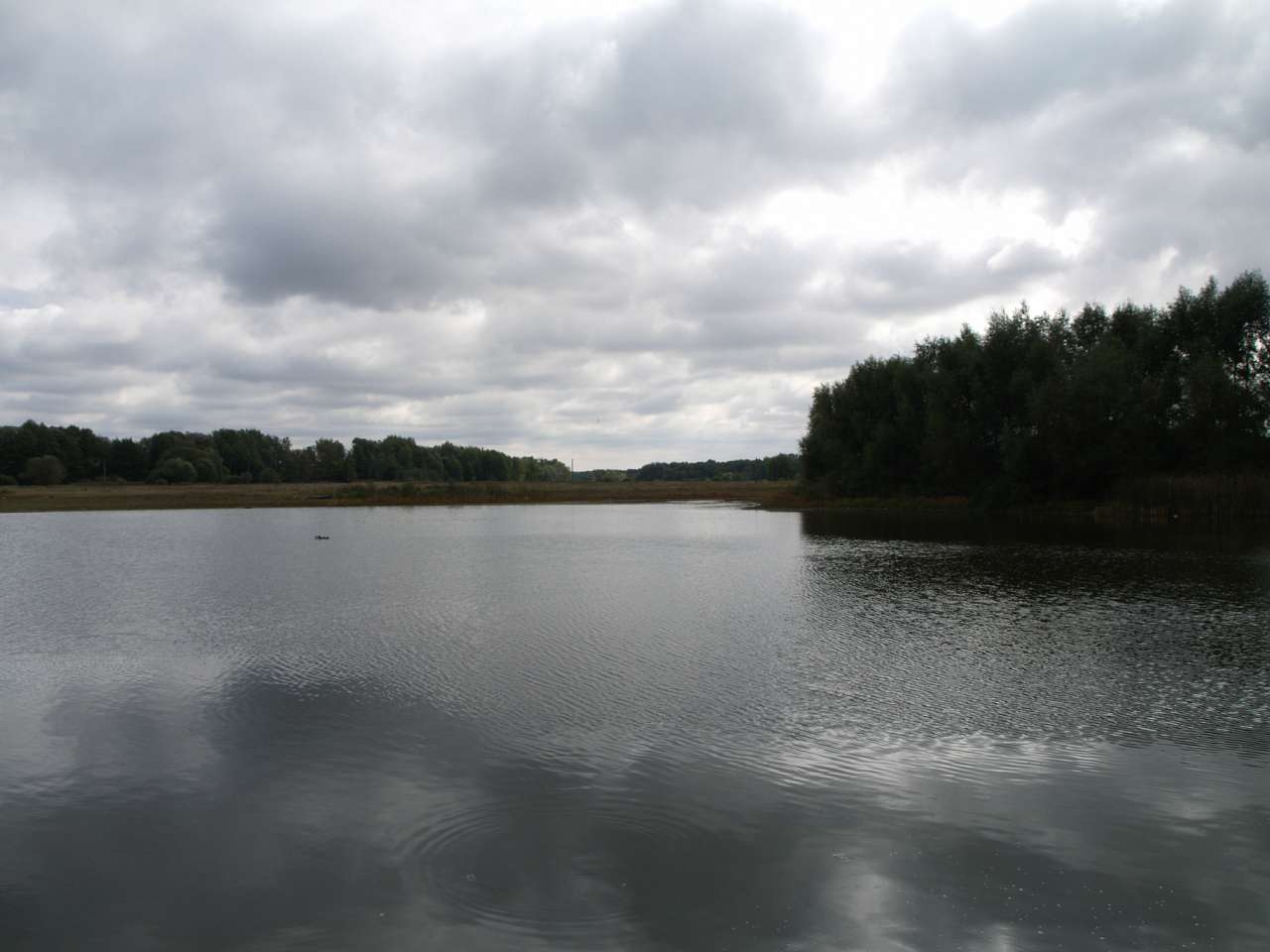 ВОДЯНИЙ МЛИН - Strokiv