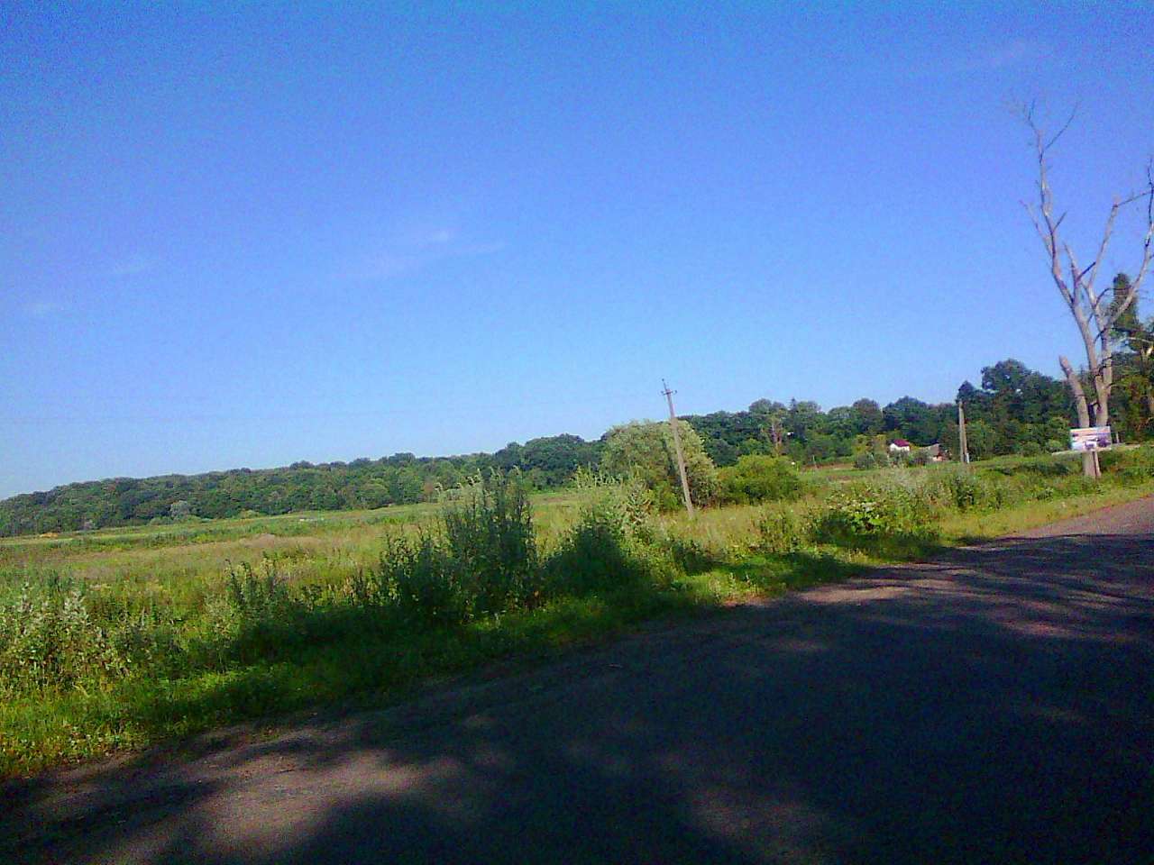 краєвид - Стрілків