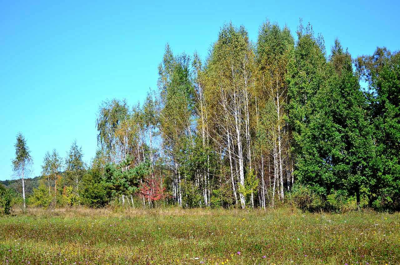 Барви осені - Іваниця