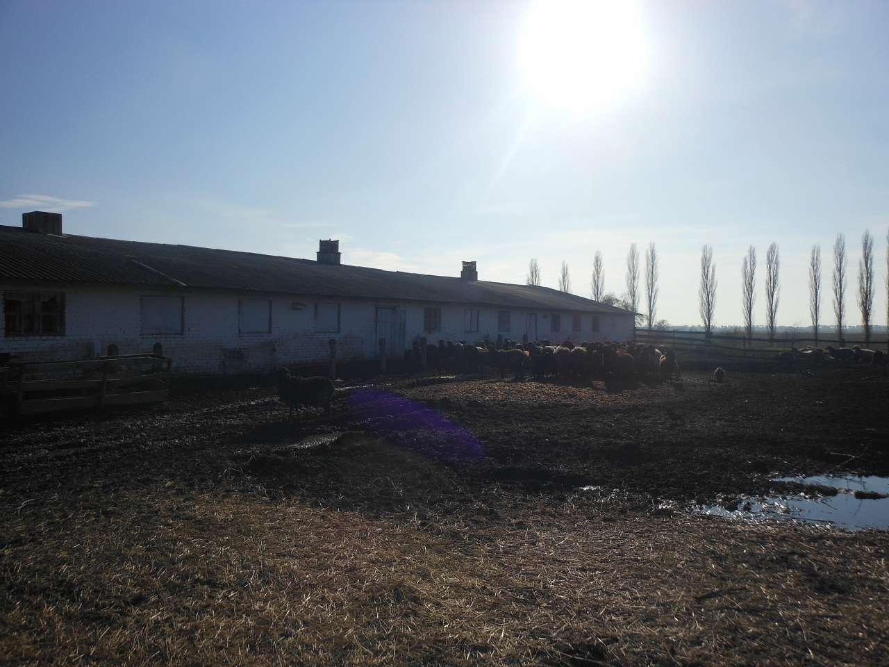 с.Дем'янівка - Дем'янівка