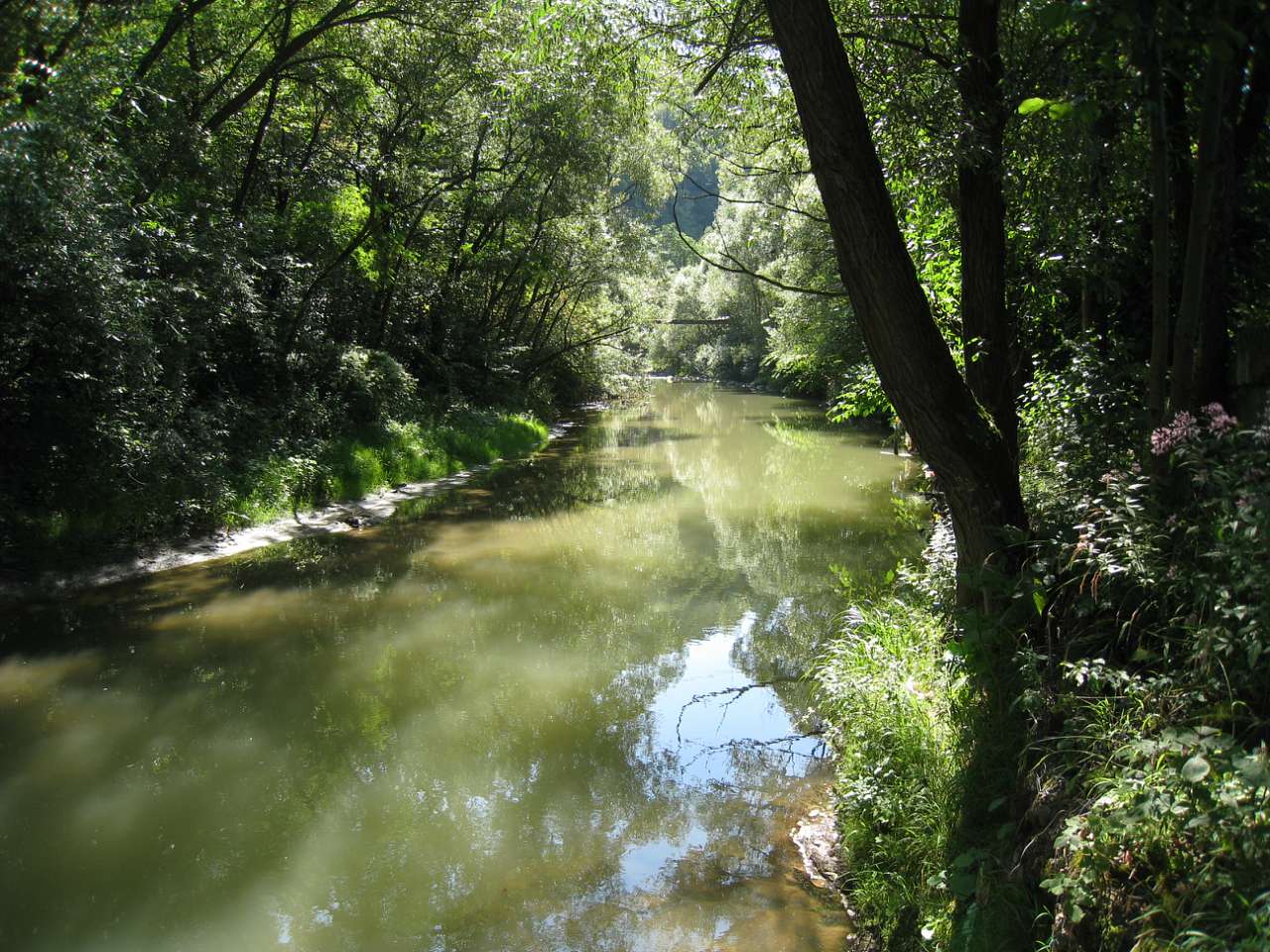 курорт Поляна - Поляна
