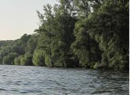 Сагунівка-мала батьківщина мого прадіда