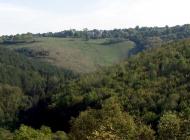 ТЕРНОПІЛЬСЬКИЙ 'ПАРИЖ'