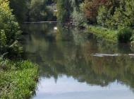 ТЕРНОПІЛЬСЬКИЙ 'ПАРИЖ'