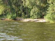 Сагунівка-мала батьківщина мого прадіда