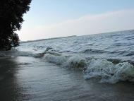 Сагунівка-мала батьківщина мого прадіда