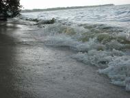 Сагунівка-мала батьківщина мого прадіда