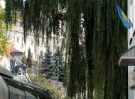 ТЕРНОПІЛЬСЬКИЙ 'ПАРИЖ'