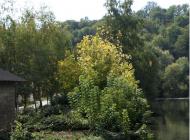 ТЕРНОПІЛЬСЬКИЙ 'ПАРИЖ'