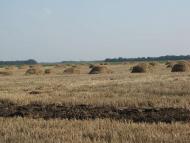 Сагунівка-мала батьківщина мого прадіда