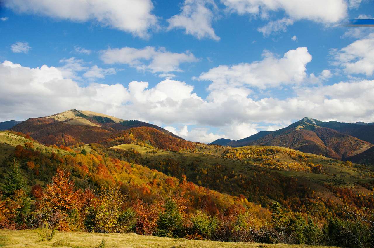Золота осінь в Колочаві від Сергія П'янникова - Колочава