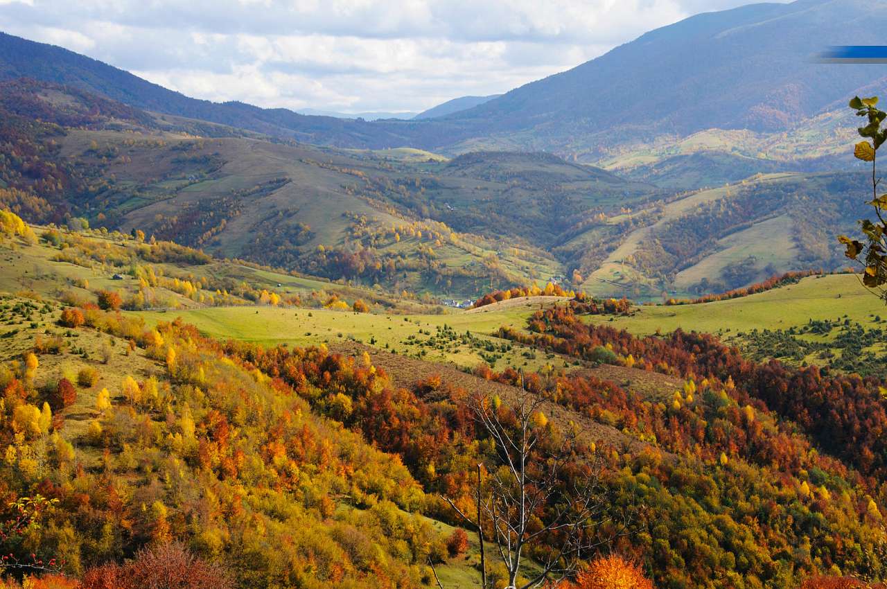 Золота осінь в Колочаві від Сергія П'янникова - Колочава